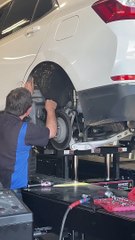 Mechanic Calmly Removes Snake During Car Service