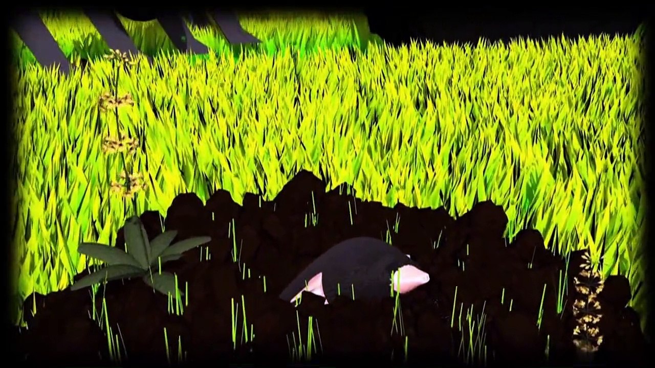 Videografik: So wirken Pestizide