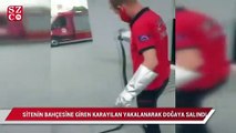 Sitenin bahçesine giren karayılan yakalanarak doğaya salındı