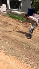 Yolda bulduğu yılanla oyuncak gibi oynadı