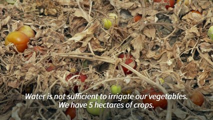 Drought-hit Jordan 'critical' as water sources dry up