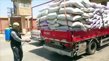 وزير التموين: نسب توريد القمح وصلت الي 1.4 مليون طن قمح في الاسبوعين الماضيين للتوريد.