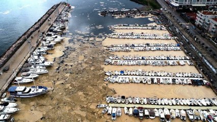 Télécharger la video: Mudanya Yat Limanı deniz salyasıyla kaplandı