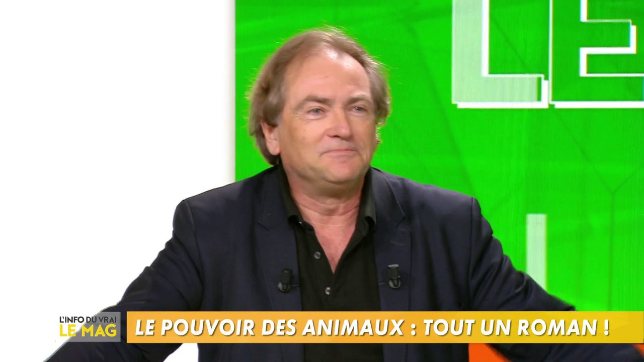 Didier Van Cauwelaert parle des tardigrades indestructibles