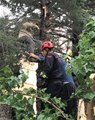 Son dakika haber... Çıktığı ağaçta fenalaşan adamı itfaiye kurtardı