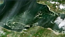 Marmara Denizi'nin büyük bir bölümünü kaplayan deniz salyası uydudan görüntülendi