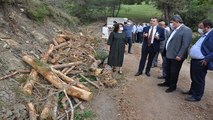 Mersin’de ağaç katliamı tepkisi