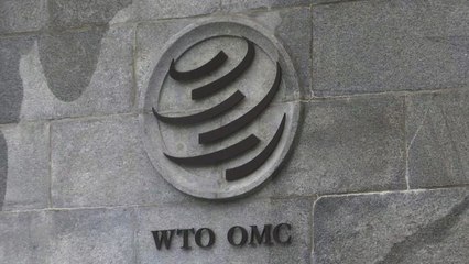 WTO, 코로나19 백신 지식재산권 면제 논의 "매우 건설적" / YTN