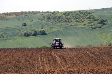 Tekirdağ'da tam kapanmada ayçiçeği ekimi - Yeniden
