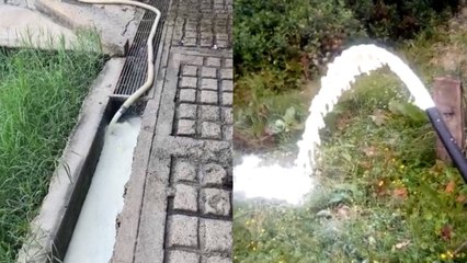 Por bloqueos se botan o regalan 4 millones de litros de leche diariamente