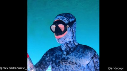 Why There Is Plastic In Fish Meat