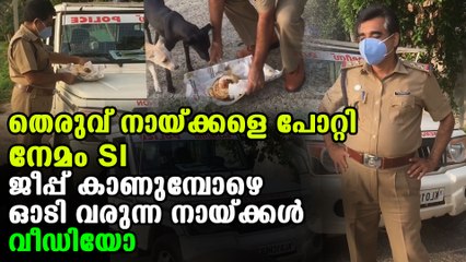 Nemom SI subrahmanyan potti feeding stray dogs