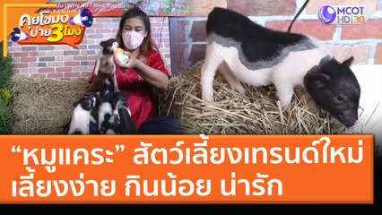 “หมูแคระ” สัตว์เลี้ยงเทรนด์ใหม่! เลี้ยงง่าย กินน้อย น่ารัก (4 พ.ค. 64) คุยโขมงบ่าย 3 โมง