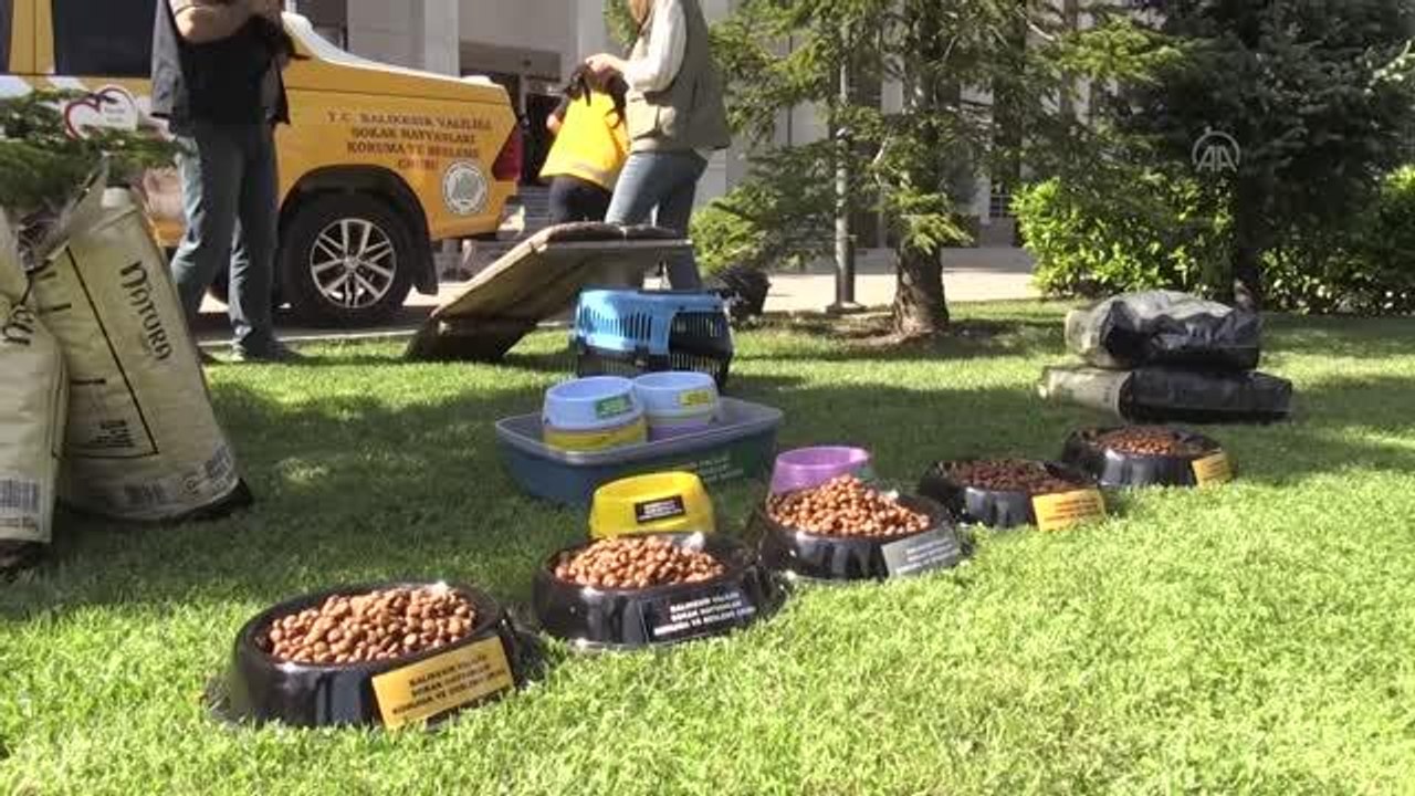 BALIKESİR - Sokak hayvanları için koruma ve besleme timi oluşturuldu