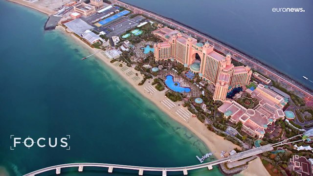 Squali e tartarughe. Come Dubai protegge la sua fauna marina