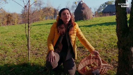 What is horinca? Learning to make the drink that doubles up as money.