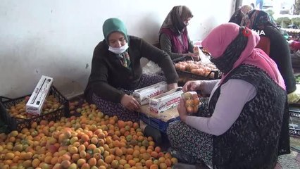 - Semt pazarlarına iki gün izin verildi haller hareketlendi