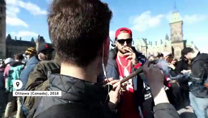 La légalisation du cannabis permet-elle de faire cesser le trafic illégal ?