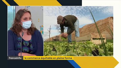 Commerce équitable : des ventes en hausse de 12% l’an dernier, en France