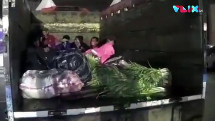 Nekat Naik Truk Sayur Demi Mudik