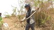 Cobra Catching TV- Dig a cave to catch snake Episode 01- How to catch a Snake in Cave