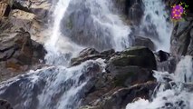 15 Minute Soothing Music for Relaxation | Waterfall | Serene | Focus | Concentration | Stress-Relief | Serene | Slow | Sleep | Study