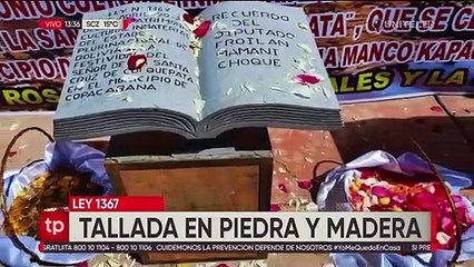 Por primera vez en la historia entregan una ley tallada en piedra y madera