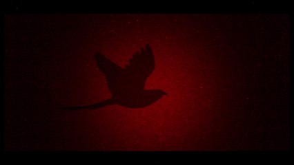 Bruno Martini - Albatross