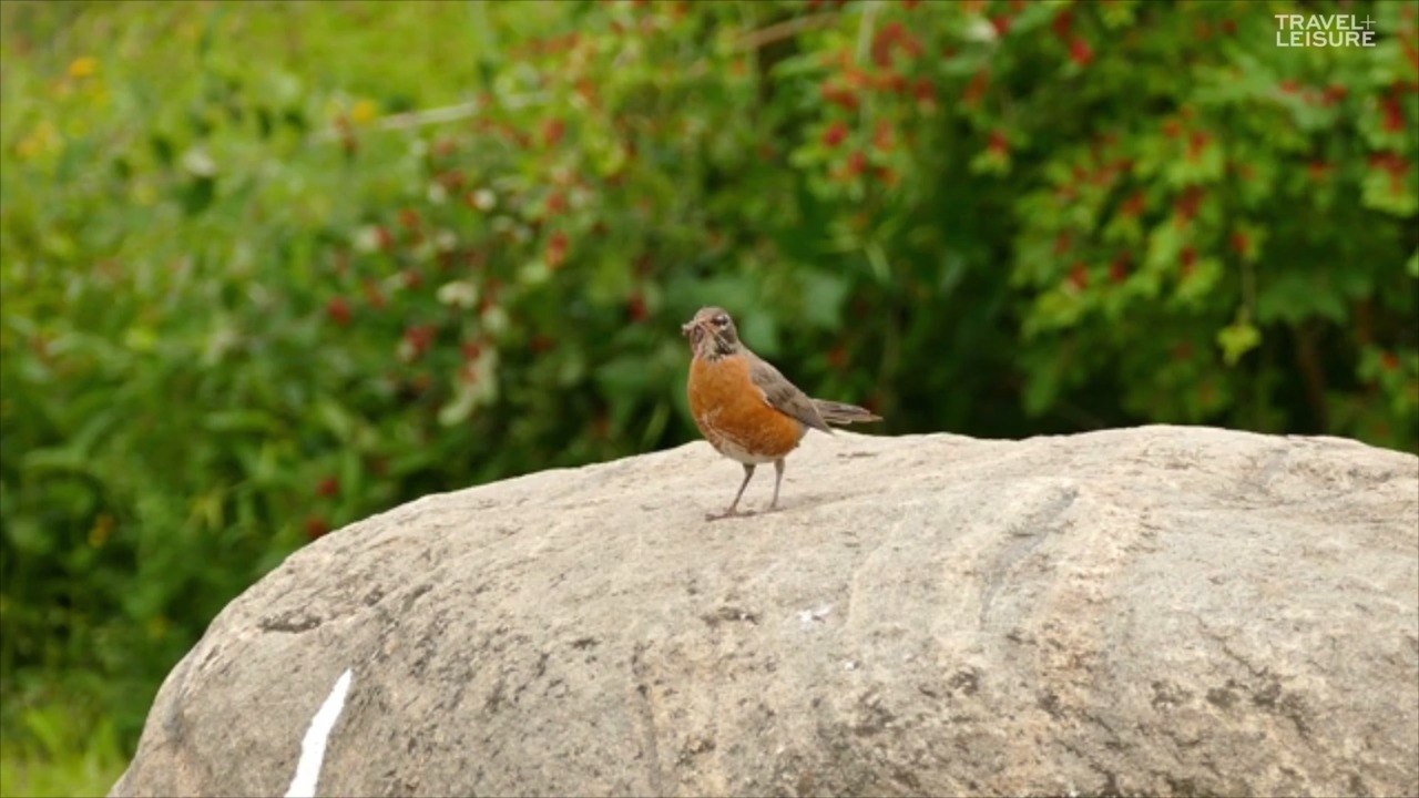 A Belgian Farmer Accidentally Moved Belgium’s Border With France