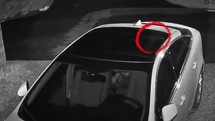 장동민 집과 차에 '돌멩이 테러' 40대, 징역 8개월 실형 / YTN