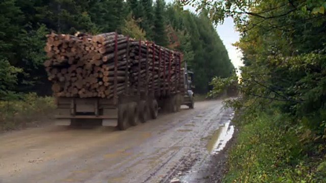 06 mai Topo PG Manque de bois Scierie St-Alphonse et St-Edgar