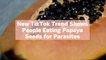 New TikTok Trend Shows People Eating Papaya Seeds for Parasites—But Is That Even Safe?