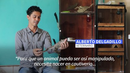 Pasión por las serpientes en Nicaragua