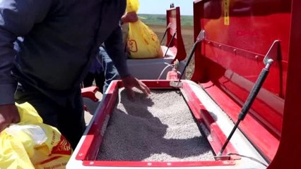 TEKİRDAĞLI ÜRETİCİLER, TAM KAPANMADA AYÇİÇEĞİ EKİMİNİ SÜRDÜRÜYOR