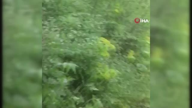 Su kuyusunda mahsur kalan köpekleri itfaiye ekipleri kurtardı