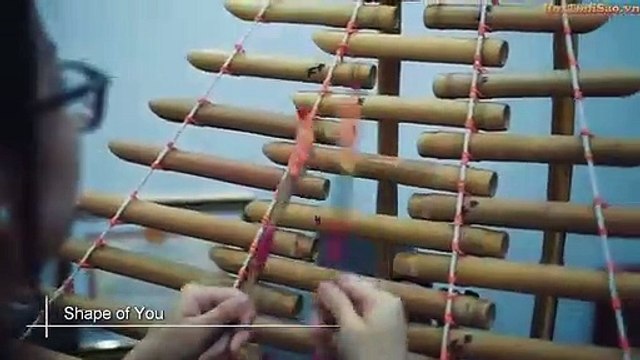 Shape Of You - Bansuri | Flute Cover | Master Of Flute