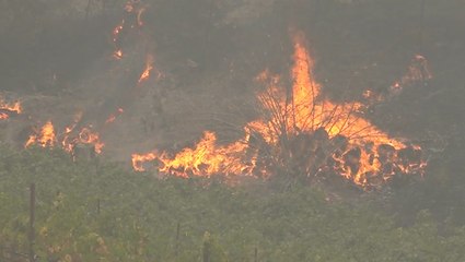 Dry vegetation offers troubling outlook for wildfire season