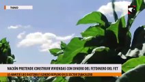 Nación pretende construir viviendas con dinero del FET