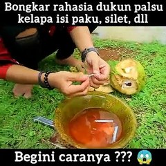 B0NGKAR RAHASIA KELAPA ISI P4KU, S1LET DAN LAIN-LAIN.