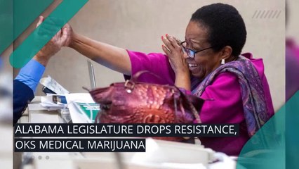 24/7 video newswire featuring breaking news, research, and entertainment.