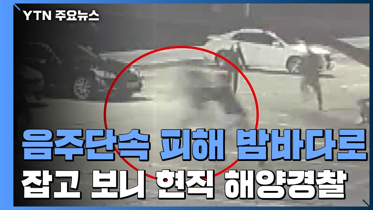 [취재N팩트] 음주 단속 피해 바다로 뛰어든 해양경찰관 / YTN