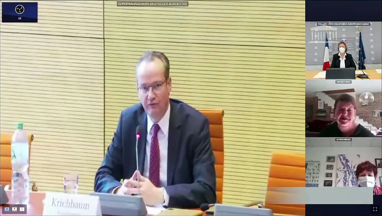 Commission des affaires européennes : Réunion commune avec la commission des affaires européennes du Bundestag sur l’intelligence artificielle - Jeudi 6 mai 2021