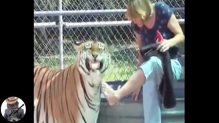 Aww Funny Animals Videos Compilation - Try Not To Laugh 2021 | Gangster Pet