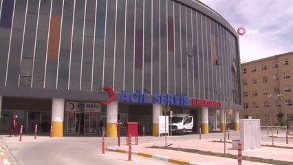 Yaz mevsimiyle birlikte Erzincan'da 7 kişi kene ısırması sonucu hastanelik oldu