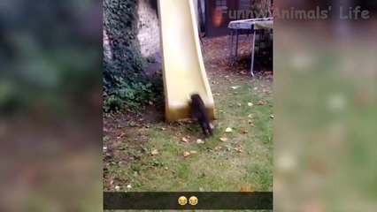 Fake But Funny Video Games That We Found And Made