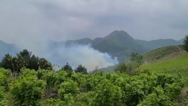 강원도 삼척 산불 1시간여 만에 진화...산림 1,500㎡ 소실 추정 / YTN