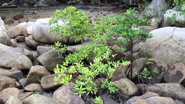 PANTAI BUKIT TANJUNG - MALAYSIA BATU PAHAT NEW LEISURE & FUN ATTRACTION - 马来西亚 武吉丹绒海边