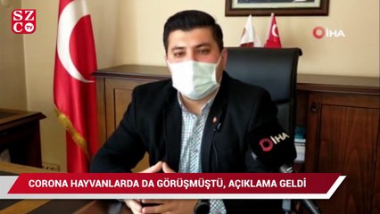Corona virüs hayvanlarda da tespit edilmişti, yetkili isim açıklama yaptı