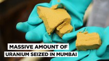 Uranium Worth Rs 21.3 Cr Seized In Mumbai What Was So 7 Kg of Radioactive Matter Doing Here