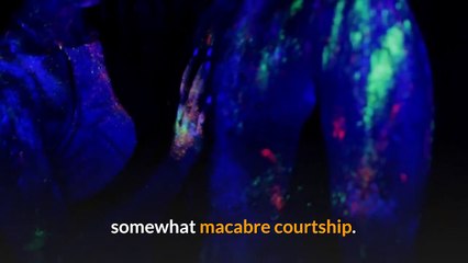 Son of Sam murderer David Berkowitz’s ‘last victim’ revealed in chilling | Moon TV News